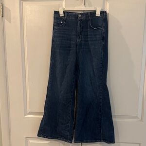 Pilcro Dark Blue Flare Jeans